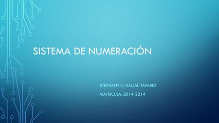 Stephany C. Hallal Tavarez Matricula: