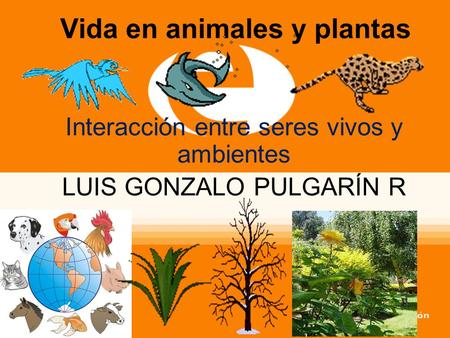 Vida en animales y plantas