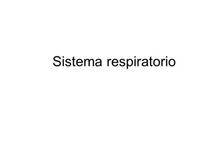 Sistema respiratorio.