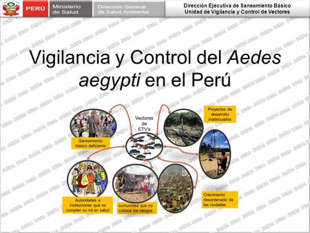 Vigilancia y Control del Aedes aegypti en el Perú