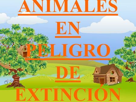 ANIMALES EN PELIGRO DE EXTINCIÓN
