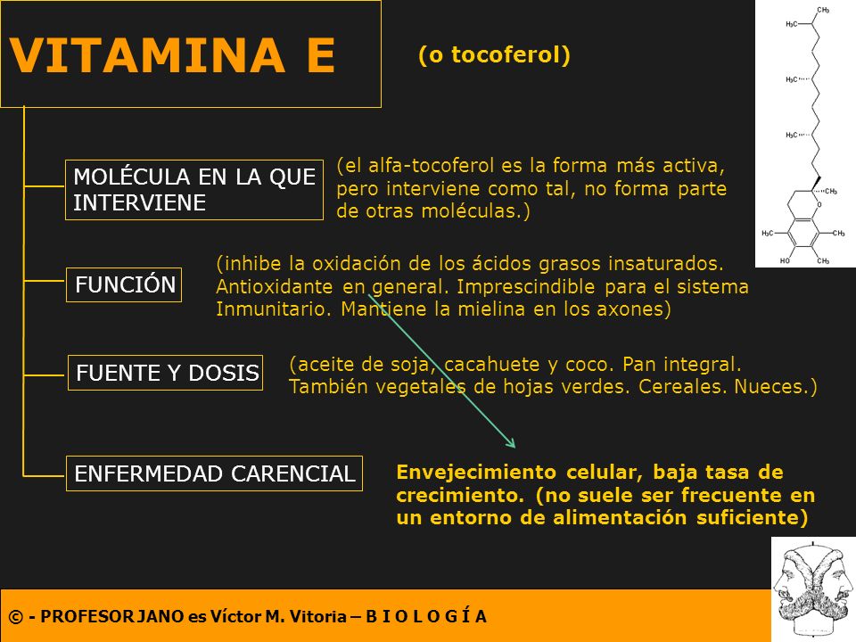 Metabolismo 2º bachillerato - ppt descargar Metabolismo 2º bachillerato - ppt descargar