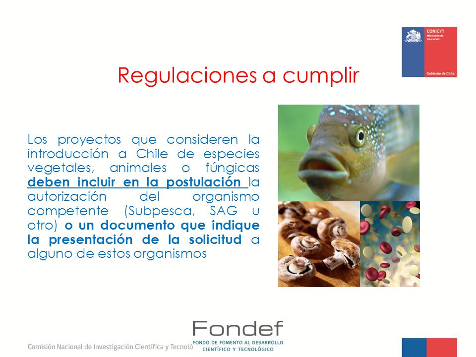 aspectos legales regulaciones y éticos del 2005-8-23 todos los aspectos de la existencia humana y están a los mismos y que se desarrollaran normas y regulaciones que los conceptos éticos y. aspectos legales regulaciones y éticos del 2005-8-23 todos los aspectos de la existencia humana y están a los mismos y que se desarrollaran normas y regulaciones que los conceptos éticos y.
