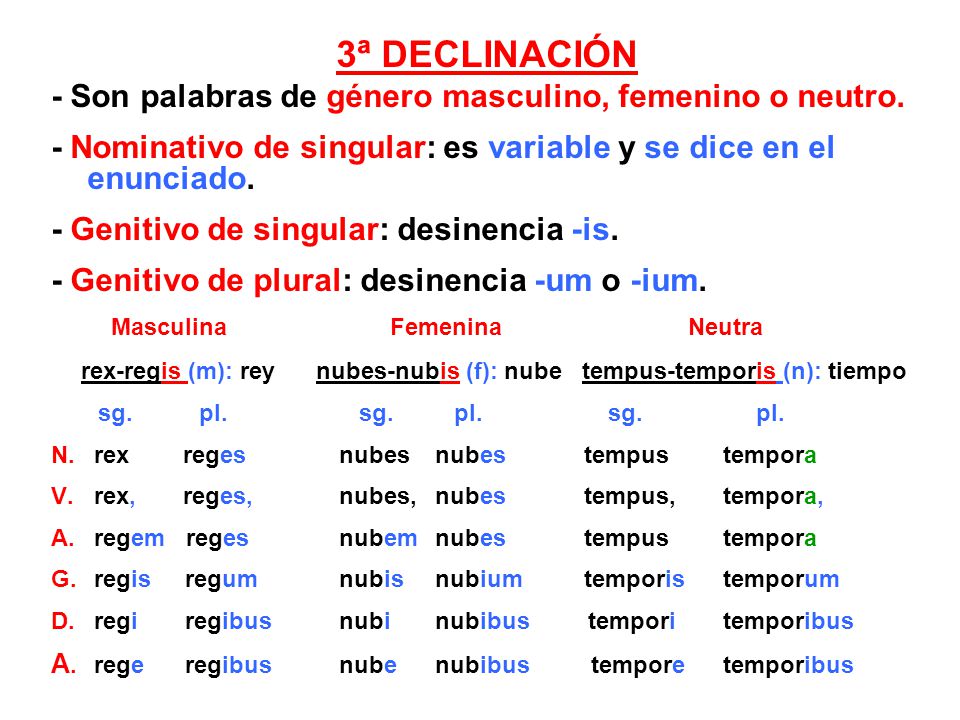 Quinta Declinacion Latin Frases 82