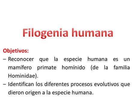 Filogenia humana Objetivos: