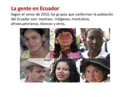 La gente en Ecuador Según el censo de 2010, los grupos que conforman la población del Ecuador son: mestizos, indígenas, montubios, afroecuatorianos, blancos.