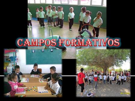 CAMPOS FORMATIVOS C.