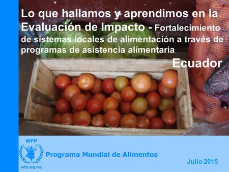 Julio 2015 Lo que hallamos y aprendimos en la Evaluación de Impacto - Fortalecimiento de sistemas locales de alimentación a través de programas de asistencia.