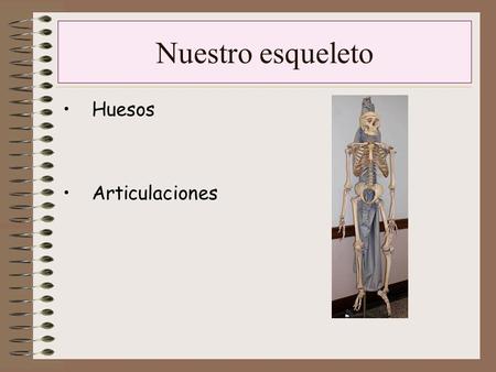 Nuestro esqueleto   Huesos Articulaciones.