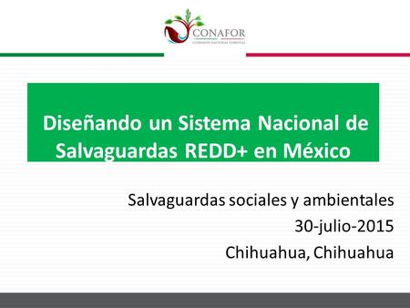 Diseñando un Sistema Nacional de Salvaguardas REDD+ en México