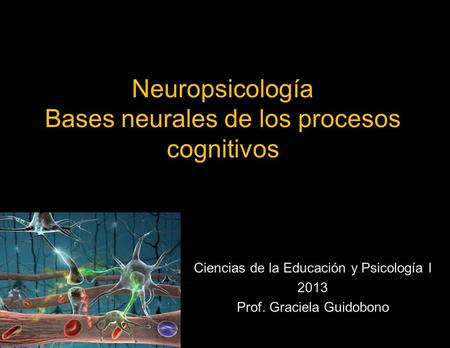 Neuropsicología Bases neurales de los procesos cognitivos