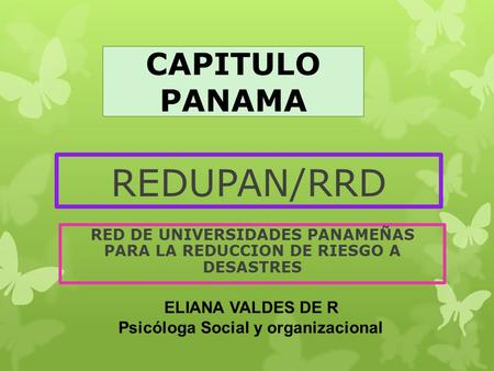 RED DE UNIVERSIDADES PANAMEÑAS PARA LA REDUCCION DE RIESGO A DESASTRES