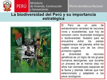 La biodiversidad del Perú y su importancia estratégica