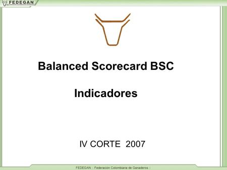 Balanced Scorecard BSC Indicadores IV CORTE 2007.