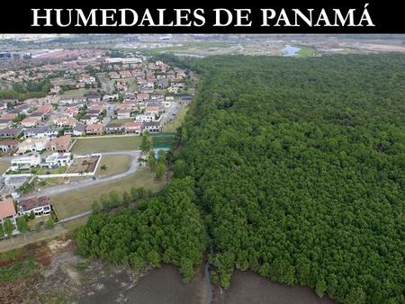 Humedales de Panamá.