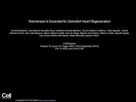 Telomerase Is Essential for Zebrafish Heart Regeneration Dorota Bednarek, Juan Manuel González-Rosa, Gabriela Guzmán-Martínez, Óscar Gutiérrez-Gutiérrez,