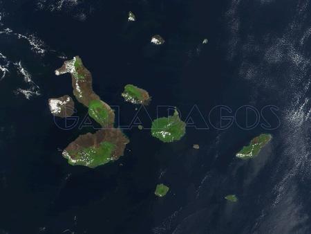 Galapagos o ISLAS ENCANTADAS