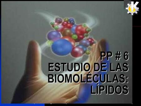 PP # 6 ESTUDIO DE LAS BIOMOLÉCULAS: LÍPIDOS. 1. LÍPIDOS Llamados también grasas  Sirven de cojín y protección a los órganos internos. Su estructura posee.