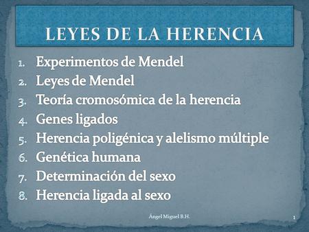 LEYES DE LA HERENCIA Experimentos de Mendel Leyes de Mendel