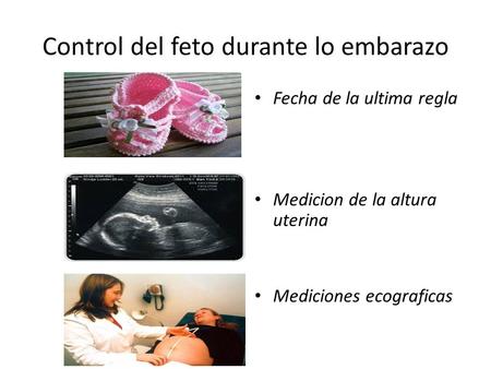 Control del feto durante lo embarazo