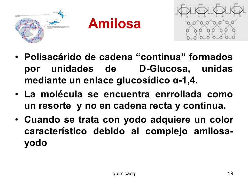 DI Y POLISACÁRIDOS quimicaeg. - ppt video online descargar DI Y POLISACÁRIDOS quimicaeg. - ppt video online descargar