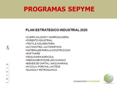 PROGRAMAS SEPYME PLAN ESTRATEGICO INDUSTRIAL 2020