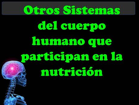 Otros Sistemas del cuerpo humano que participan en la nutrición