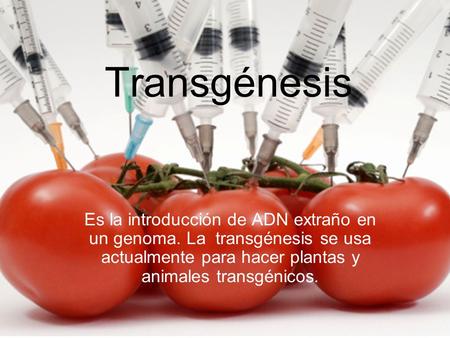 Transgénesis Es la introducción de ADN extraño en un genoma. La transgénesis se usa actualmente para hacer plantas y animales transgénicos.