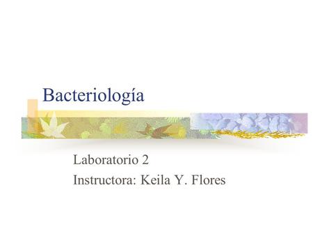 Laboratorio 2 Instructora: Keila Y. Flores