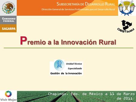 P remio a la Innovación Rural Chapingo, Edo. de México a 11 de Marzo de 2011. S UBSECRETARÍA DE D ESARROLLO R URAL Dirección General de Servicios Profesionales.