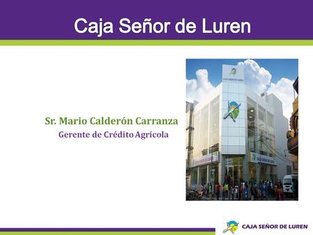 Sr. Mario Calderón Carranza Gerente de Crédito Agrícola