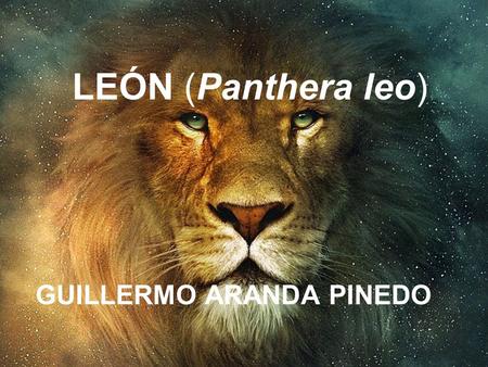 LEÓN (Panthera leo) GUILLERMO ARANDA PINEDO ..