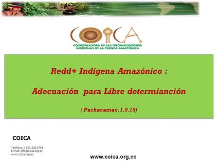 COICA Teléfono:+ 593-322-6744    Redd+ Indígena Amazónico : Adecuación para Libre determianción.