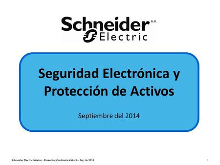Seguridad Electrónica y Protección de Activos