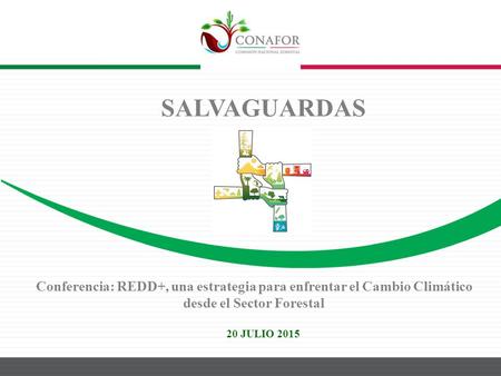 SALVAGUARDAS 20 JULIO 2015 Conferencia: REDD+, una estrategia para enfrentar el Cambio Climático desde el Sector Forestal.