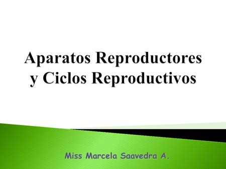 Aparatos Reproductores y Ciclos Reproductivos