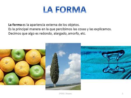 LA FORMA La forma es la apariencia externa de los objetos.