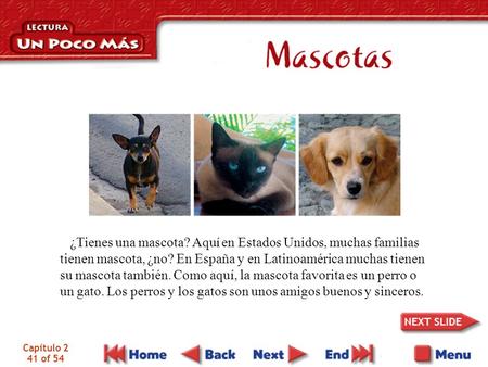 Capítulo 2 41 of 54 ¿Tienes una mascota? Aquí en Estados Unidos, muchas familias tienen mascota, ¿no? En España y en Latinoamérica muchas tienen su mascota.