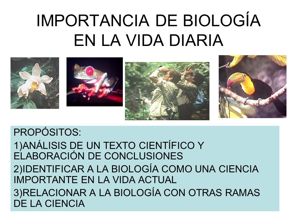191 qu 233 importancia le das a las invitaciones de la boda tendencias de bodas magazine biologia la ciencia de la vida importancia de biolog 205 a en la vida diaria ppt 191 qu 233 importancia le das a las invitaciones de la boda tendencias de bodas magazine biologia la ciencia de la vida importancia de biolog 205 a en la vida diaria ppt