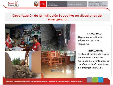 Organización de la Institución Educativa en situaciones de emergencia