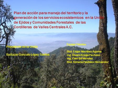 Plan de acción para manejo del territorio y la generación de los servicios ecosistemicos en la Unión de Ejidos y Comunidades Forestales de las Cordilleras.