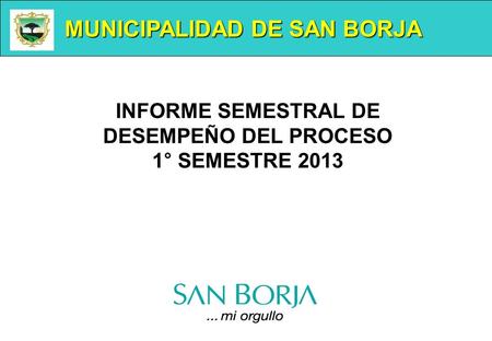 MUNICIPALIDAD DE SAN BORJA INFORME SEMESTRAL DE DESEMPEÑO DEL PROCESO 1° SEMESTRE 2013.