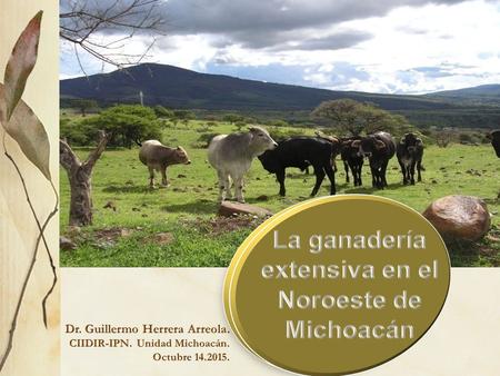La ganadería extensiva, es el sistema de crianza de ganado más desarrollada en México y se considera la forma tradicional de dejar pastar libremente a.