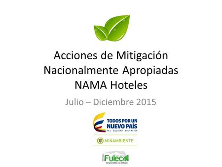 Acciones de Mitigación Nacionalmente Apropiadas NAMA Hoteles