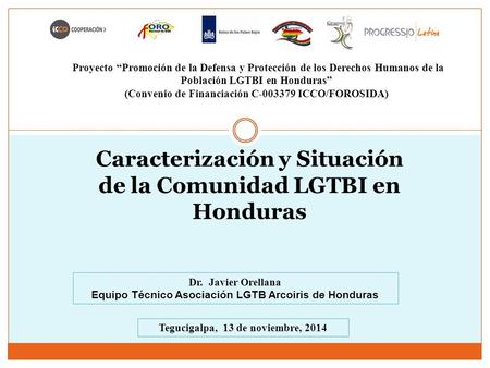 Caracterización y Situación de la Comunidad LGTBI en Honduras Proyecto “Promoción de la Defensa y Protección de los Derechos Humanos de la Población LGTBI.