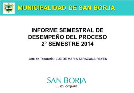 MUNICIPALIDAD DE SAN BORJA Jefe de Tesorería: LUZ DE MARIA TARAZONA REYES INFORME SEMESTRAL DE DESEMPEÑO DEL PROCESO 2° SEMESTRE 2014.