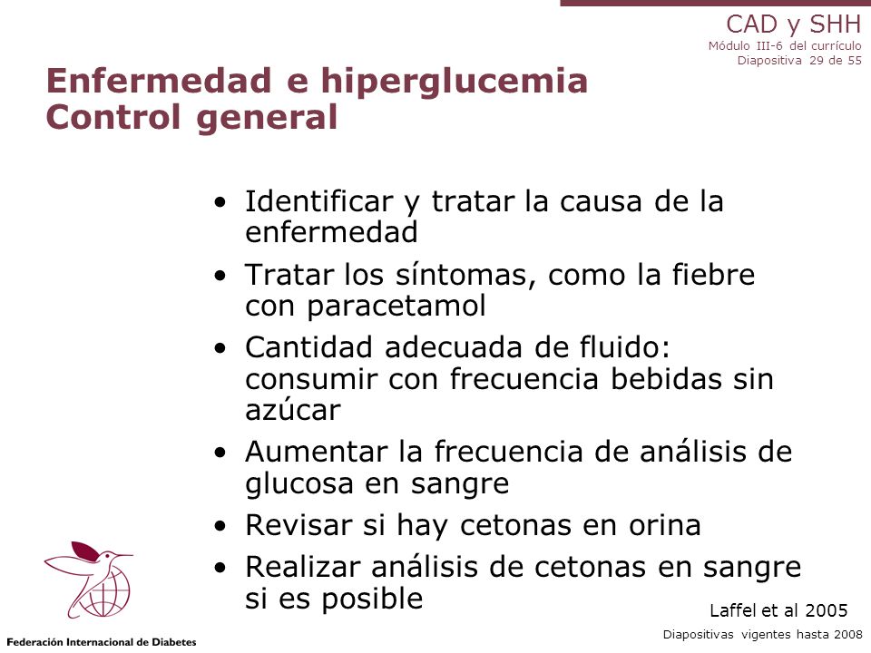 Diabetes Alcohol, Bebidas alcoholicas para diabeticos ¿Los Diabetes Alcohol, Bebidas alcoholicas para diabeticos ¿Los