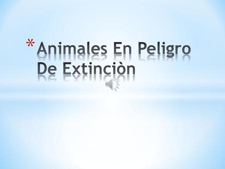 Animales En Peligro De Extinciòn