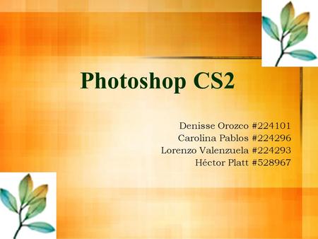 Photoshop CS2 Denisse Orozco #224101 Carolina Pablos #224296 Lorenzo Valenzuela #224293 Héctor Platt #528967.