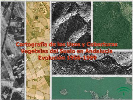 Cartografía de los Usos y Coberturas Vegetales del Suelo en Andalucía